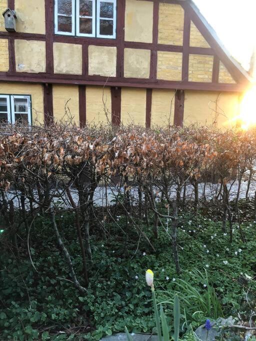 Idyllisk, Historisk Byhus Ved Fjorden I Mariager Bagian luar foto